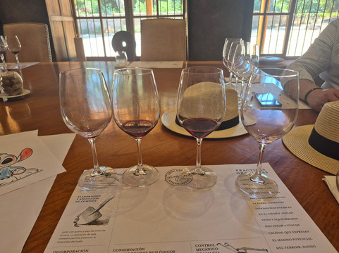 Viña Neyen de Apalta-圣克鲁斯必去景点