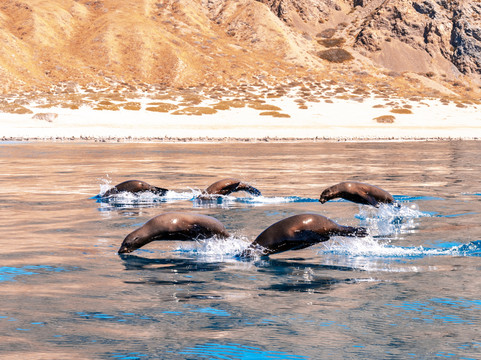 Murillos Bros Adventours-Puerto San Carlos必去景点