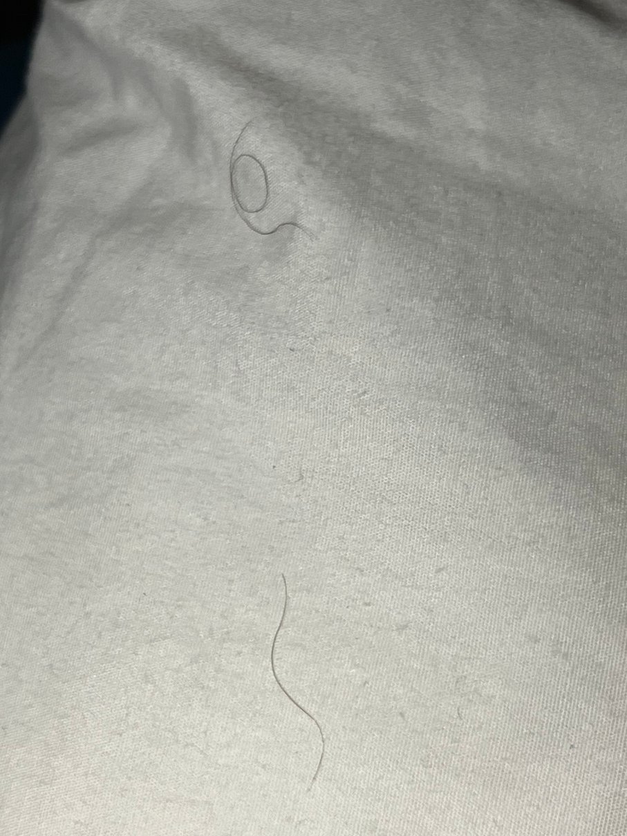 摩根敦希尔顿花园酒店-客卧