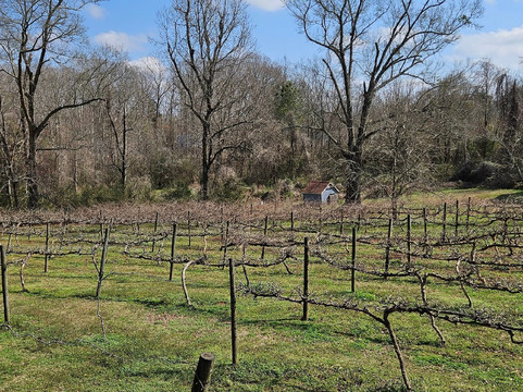 City Scape Winery-Pelzer必去景点