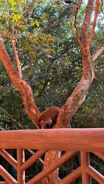 水疗度假酒店-限成人入住-全包式主图