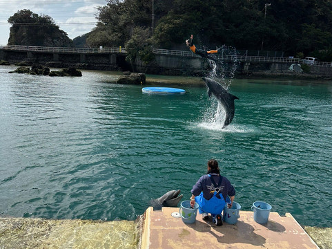 Shimoda Aquarium-下田市必去景点