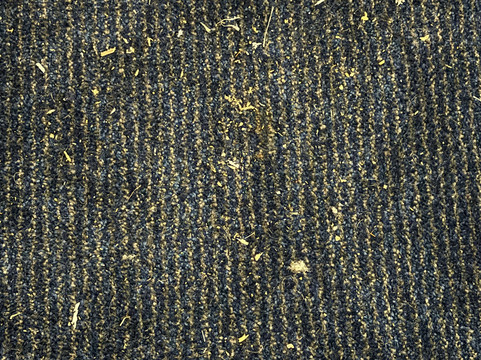 惠灵顿萨默塞特旅屋酒店主图