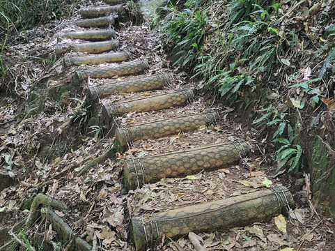 Mount Te Aroha- 蒂阿罗哈必去景点