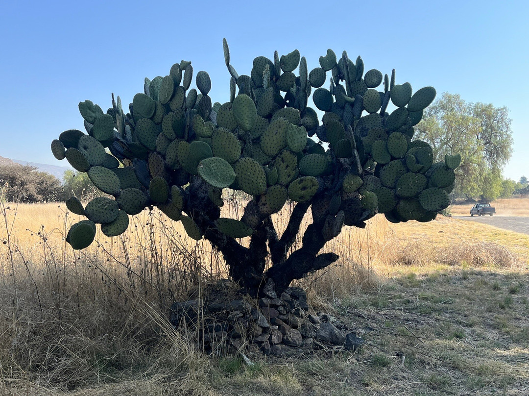 Teotihuacan Pyramids-圣胡安特奥蒂瓦坎必去景点