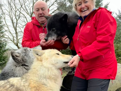 Predator Park-Ayside必去景点