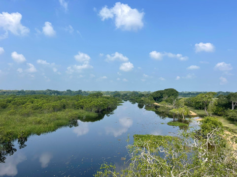 Safari Panama Sri Lanka-Panama必去景点