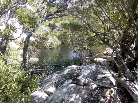 Steenbras River Gorge