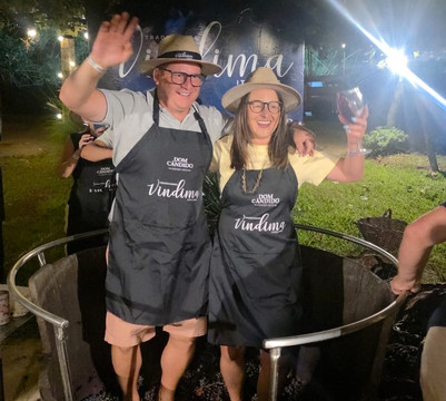 Vinicola Dom Cândido-本图贡萨尔维斯必去景点