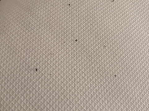 弗雷德里克斯堡玛丽华盛顿凯悦嘉轩酒店主图