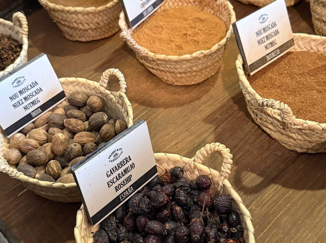 Casa Vermouth Padró-Brafim必去景点