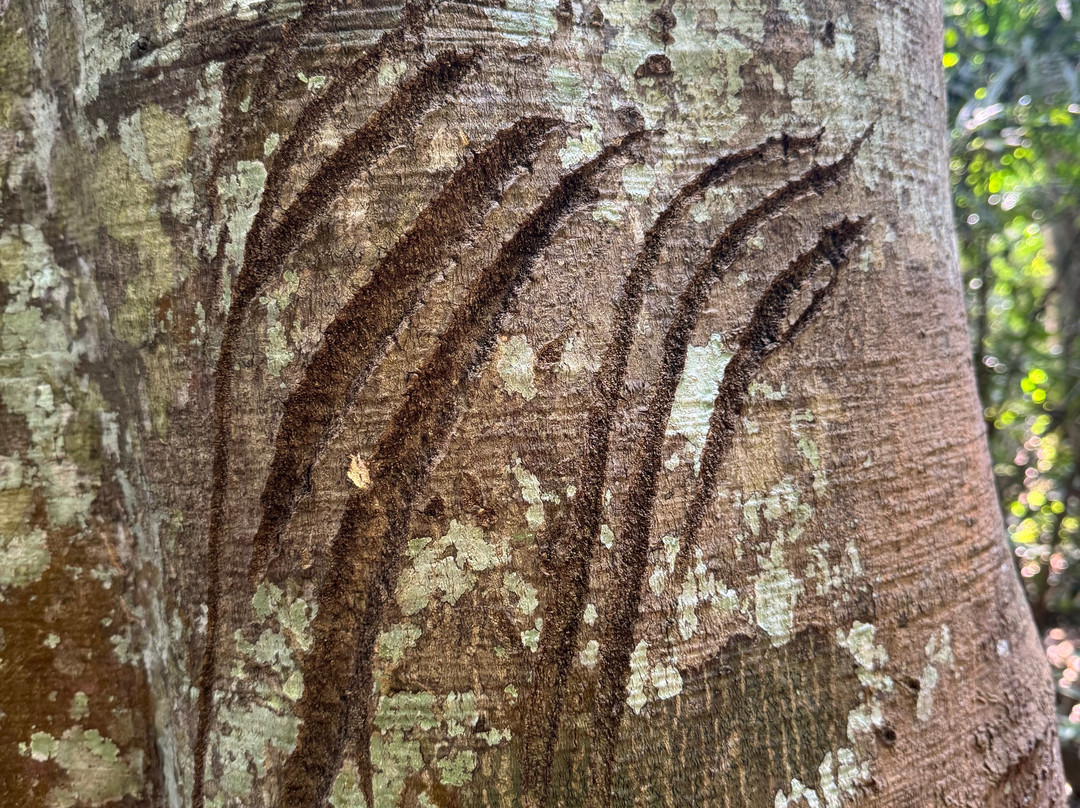 考艾自然生活及旅游酒店主图