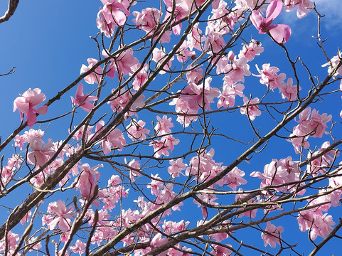 Fast Rabbit Farm Gardens-达特茅斯必去景点