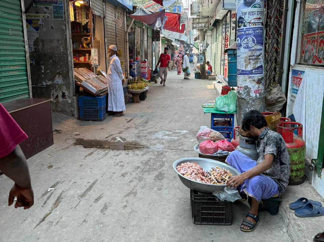 Bangladesh Eco Adventure-达卡市必去景点