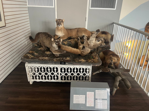 Grande Cache Tourism and Interpretive Centre-大卡什必去景点