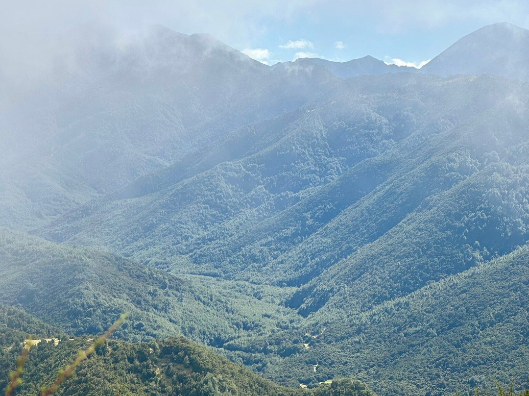 Island Hills Station-Culverden必去景点