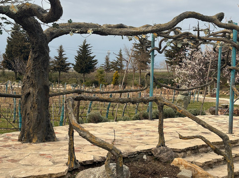 Shumi Winery-Tsinandali必去景点