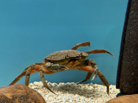 Lyme Regis Marine Aquarium-莱姆里杰斯必去景点