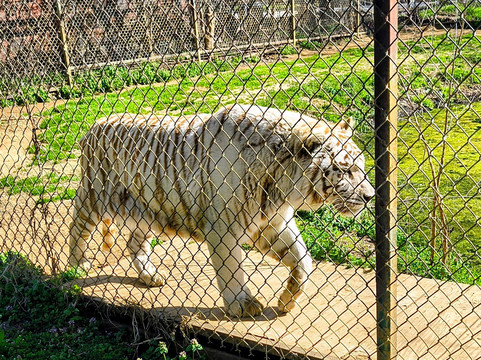 Safari Zoological Park-Caney必去景点