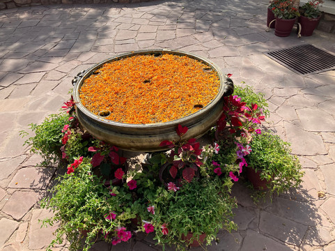 Rajasthan Pari Tours-斋蒲尔必去景点