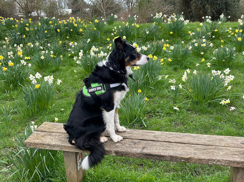 Lodmoor Country Park-韦茅斯必去景点