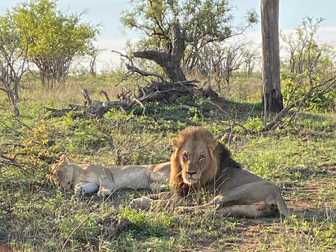 Endless Summer Tours-德班必去景点