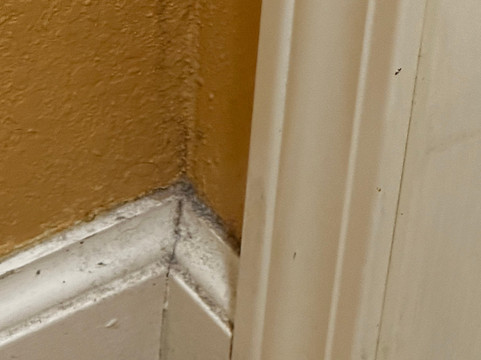 卡拉马祖万豪TownePlace酒店主图