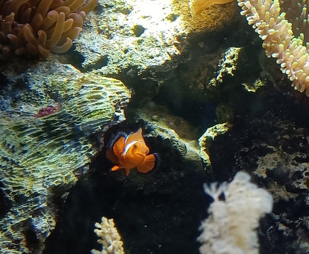 Tiergarten Ulm-乌尔姆必去景点