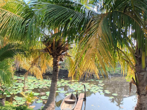 Mon Beau Trip-Falicon必去景点