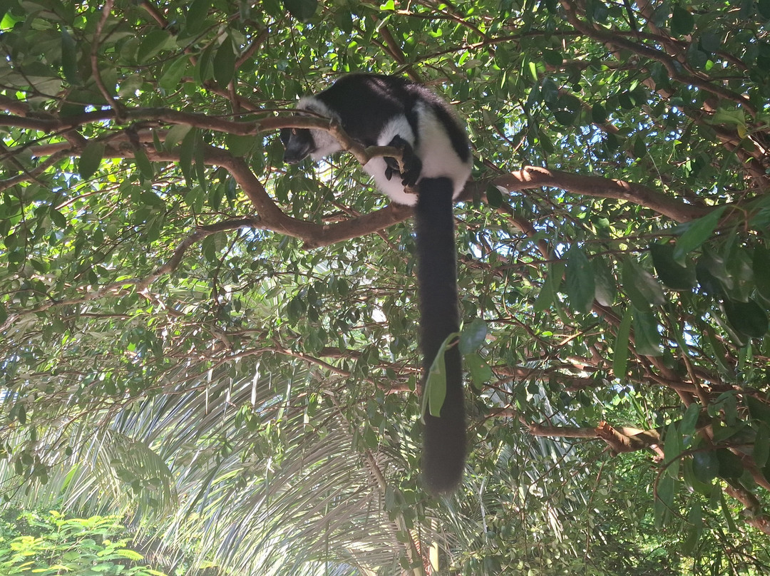 FANILO TOURS-Toamasina (Tamatave)必去景点