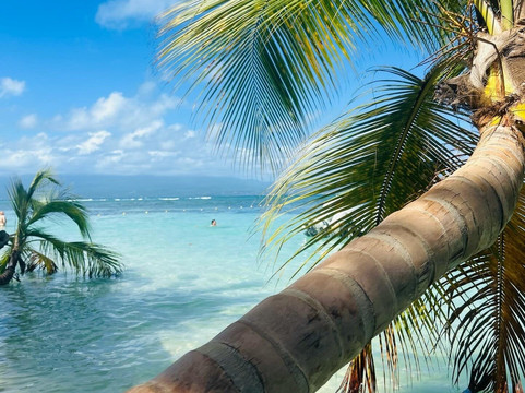 Ilet Du Gosier-Le Gosier必去景点