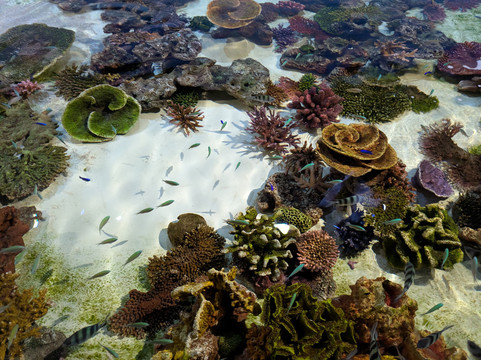 Dmm Kariyushi Aquarium-丰见城市必去景点