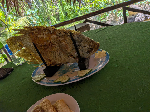 DinHo Ecotour-Ben Tre必去景点