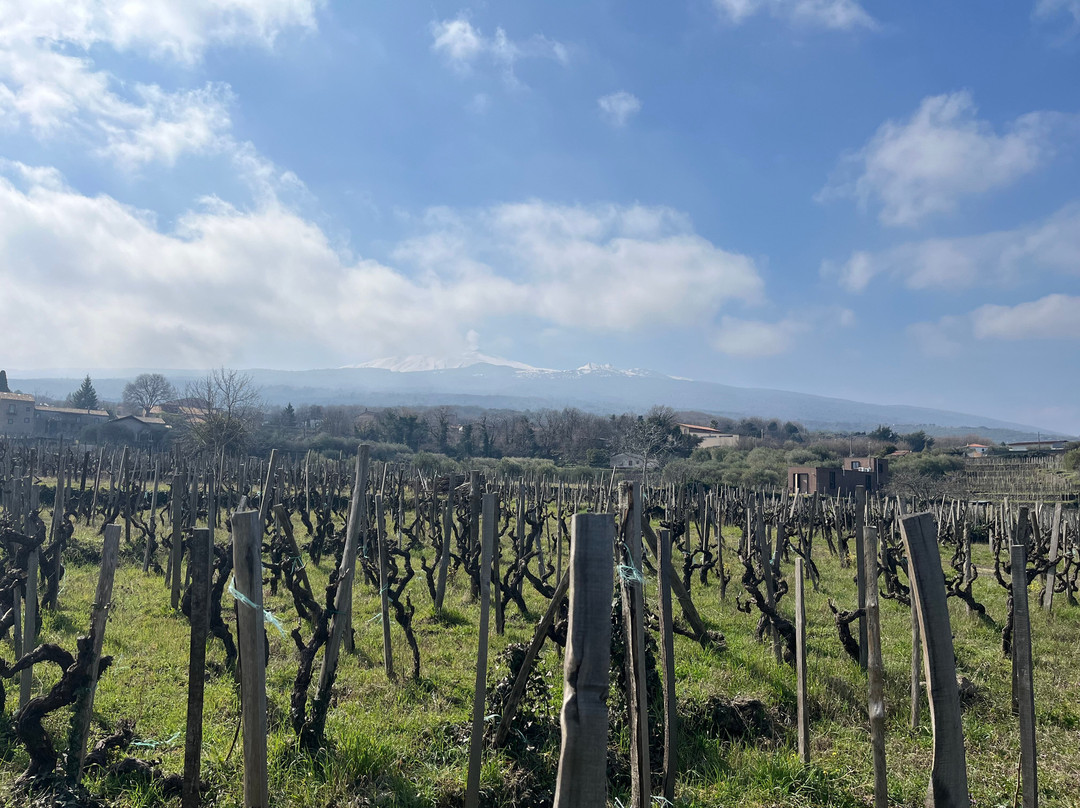 菲希纳泰努塔酒店主图