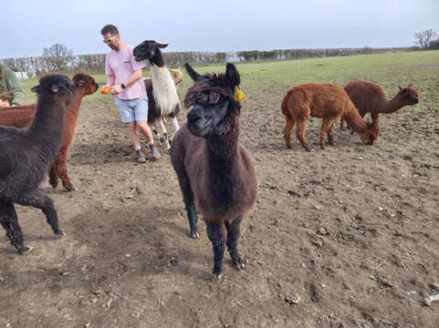 Frankly Farm Tours-Broseley必去景点