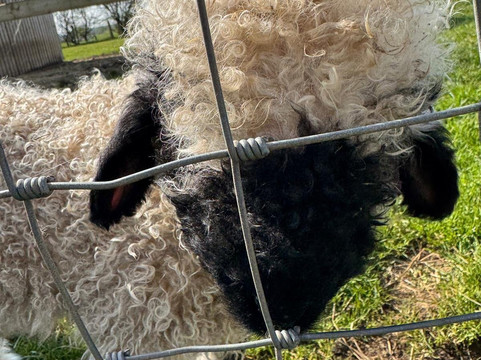 科茨沃尔德农场公园-Kineton必去景点