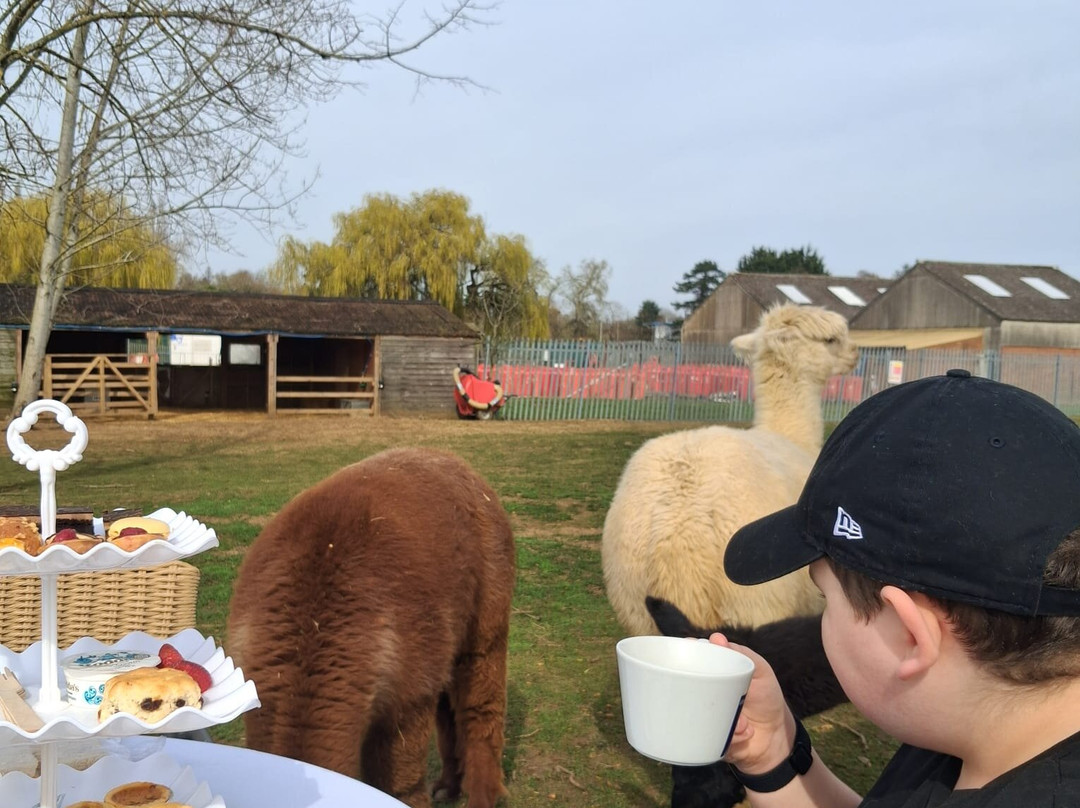 Billing Aquadrome-北安普敦必去景点