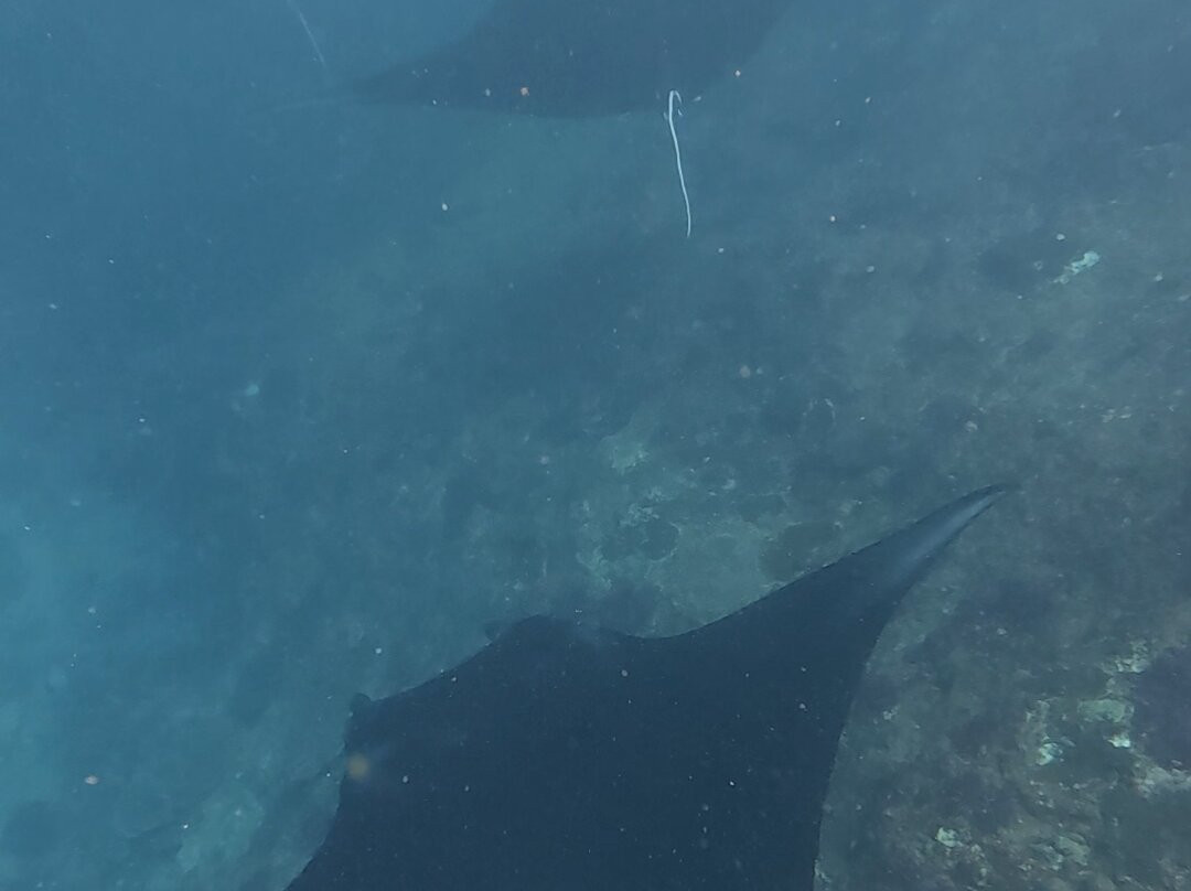 Nusa Penida Sea View-珀尼达岛必去景点