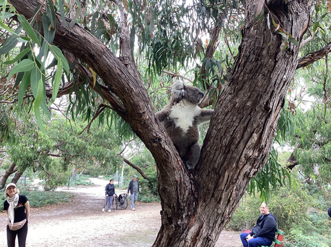 雷蒙德岛-Paynesville必去景点