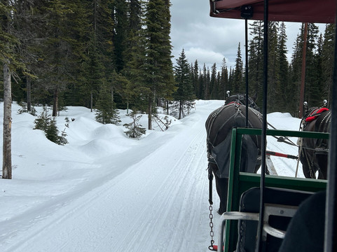 Big White Sleigh Ride-Big White必去景点