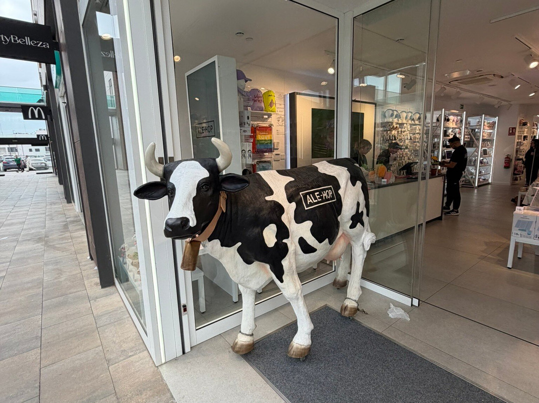 Centro Comercial Lanzarote Open Mall-阿雷西费必去景点