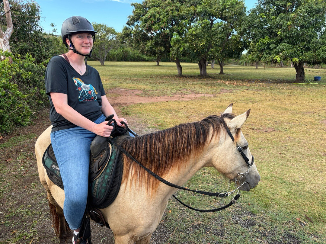 Esperanza Riding Company-维切克岛必去景点
