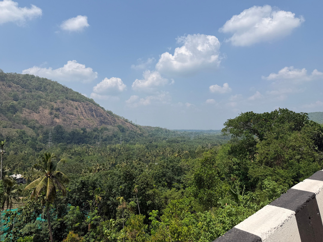 Kochi Taxi 24X7-柯钦必去景点