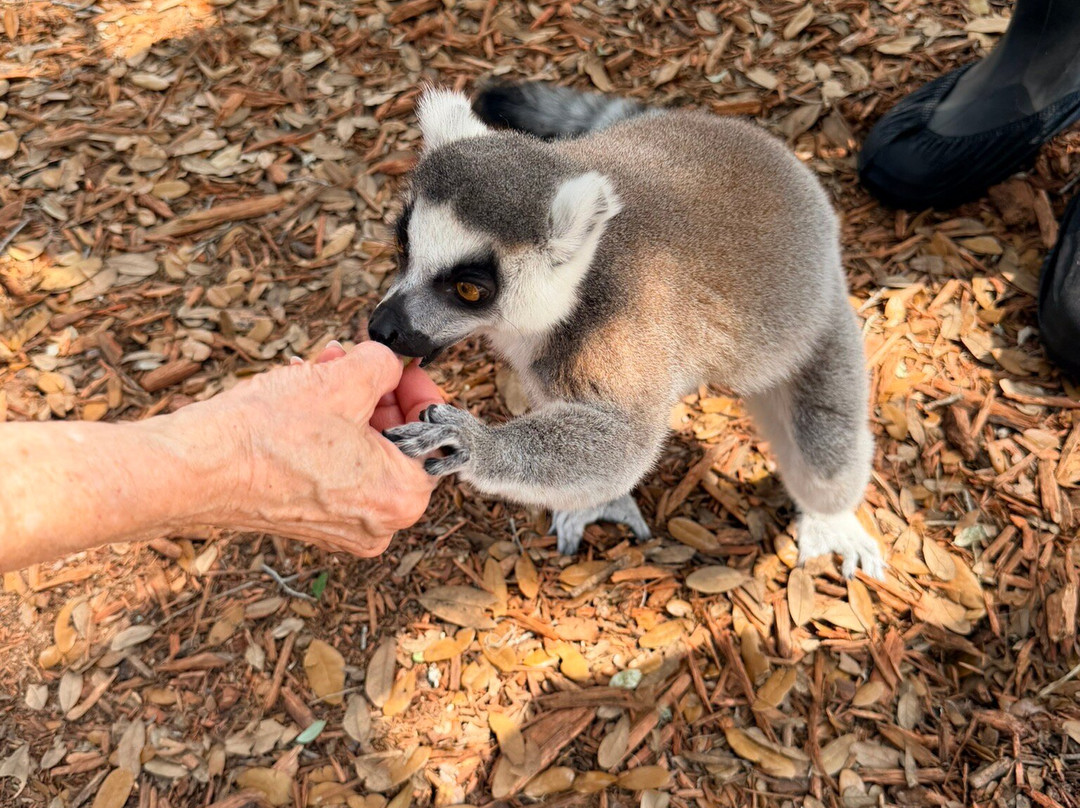 Chase Animal Rescue And Sanctuary-Webster必去景点