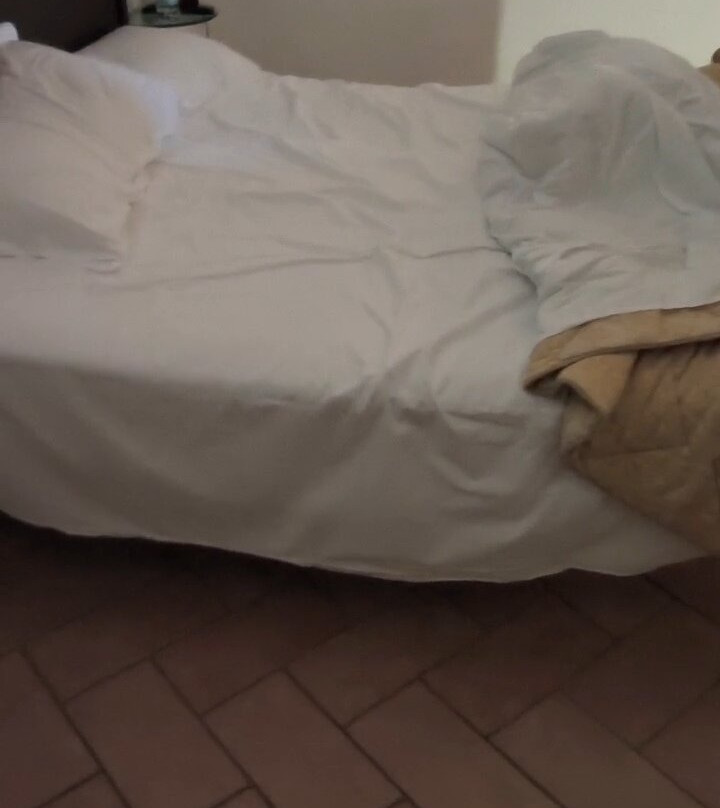 圣瓦伦蒂诺堡主图