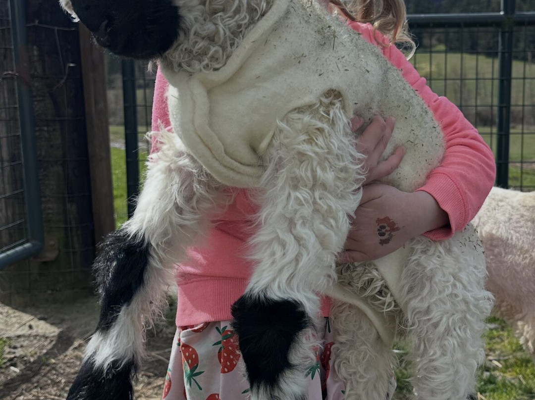 Amaro Farm-星期五港湾必去景点