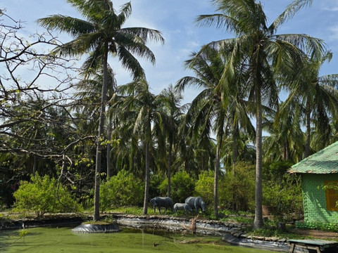 猴岛-芽庄必去景点