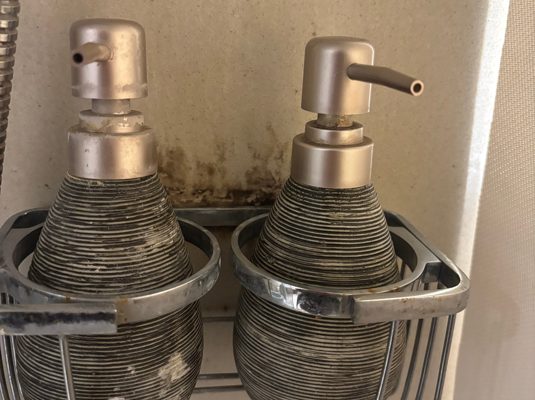 纳格浦尔傲世酒店主图