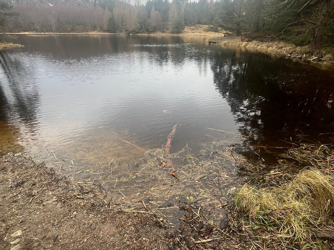Loch an Eilein-阿维莫尔必去景点