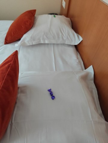 罗吉斯阿罗耶旅馆-官方